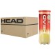 Caja Pelotas Head Championship