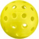 Penn Pelotas Pickleball 40 Outdoor